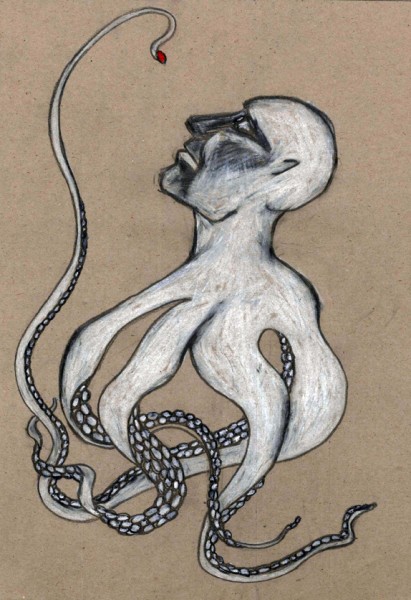 Andrea Contin 02 (Octopus)_mail